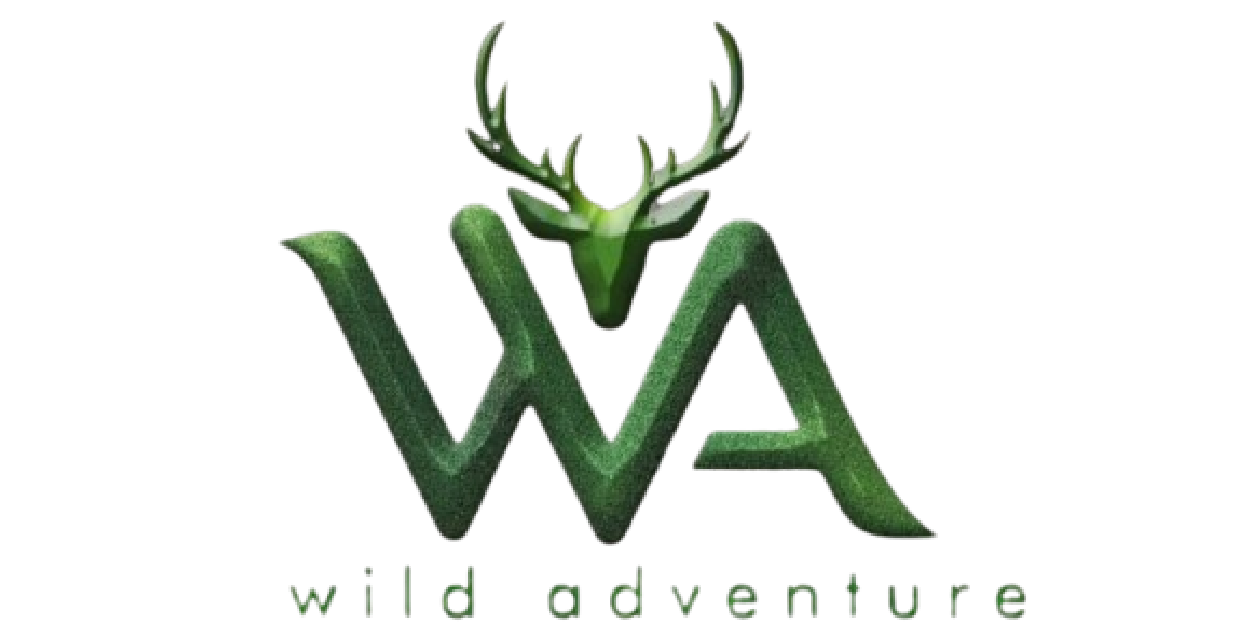 Wild Adventure